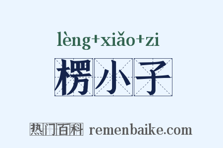 楞小子是什么意思的图片